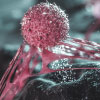 Anti-Cancer