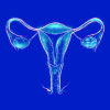 Gynecology